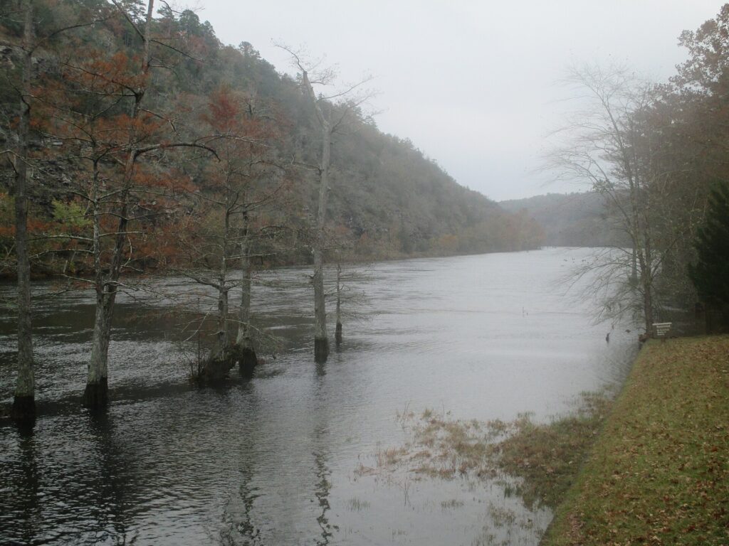 Mountain Fork River winding through the forest near Beavers Bend State Park, Oklahoma