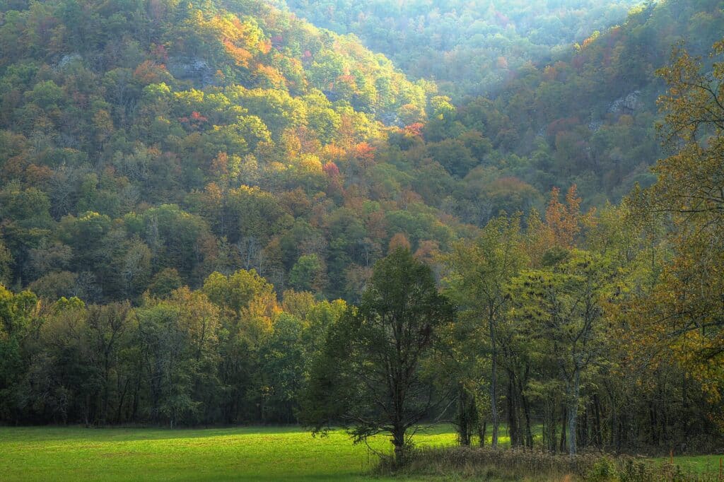 Forested hills covered in red, orange and gold autumn foliage
