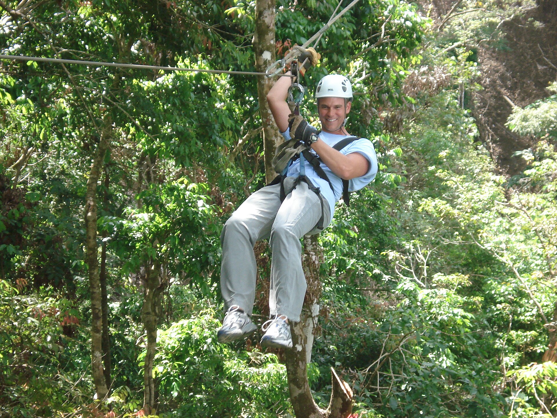 Person gliding along a zip line through a green forest canopy