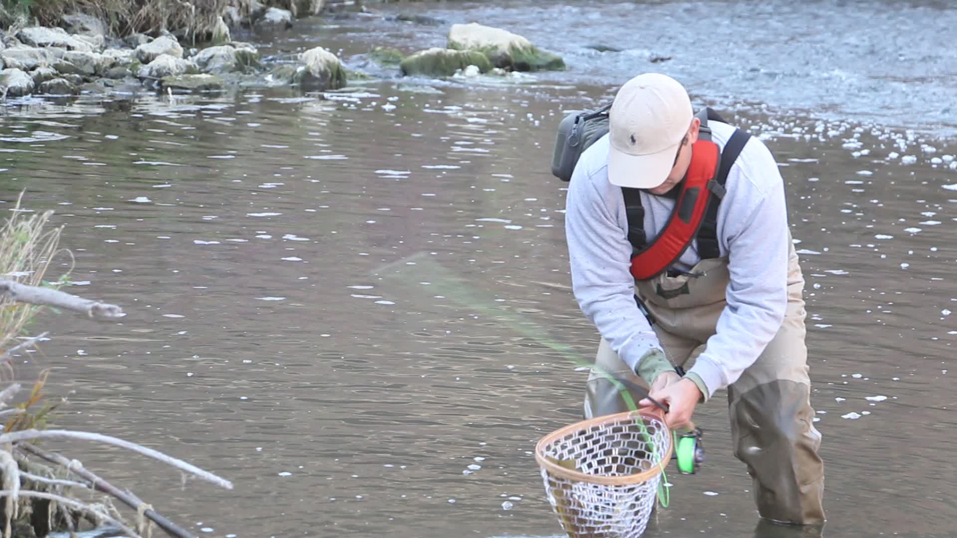 Angler landing a fish with a net while fly fishing in a clear river
